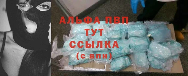 сатива Володарск