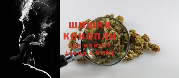 сатива Володарск