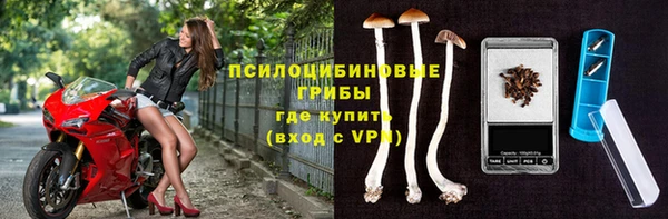 сатива Володарск