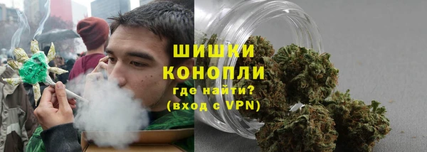 сатива Володарск
