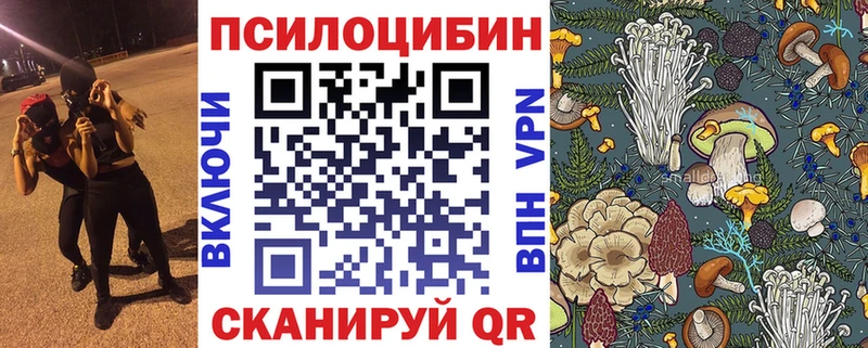 Галлюциногенные грибы Psilocybine cubensis  Ельня 
